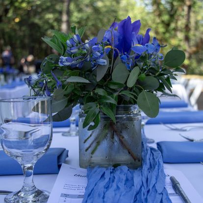 2026 Dancing in the Moonlight Gala Tickets - logo